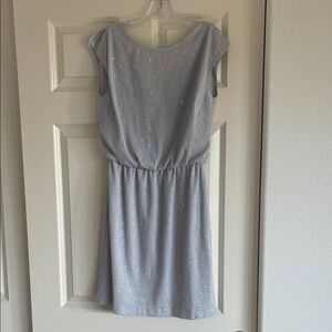 Elegant Gray Sleeveless Dress (Small)
